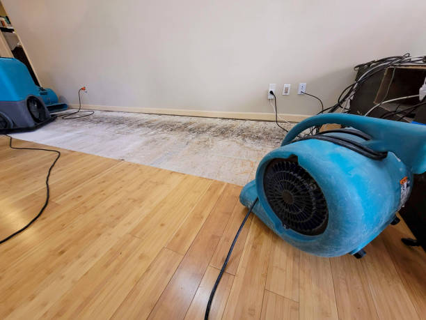 Professional Basement Flood Cleanup technician working in Cutler, CA
